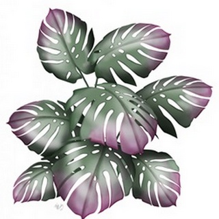 Monstera Plant, Pink and Green