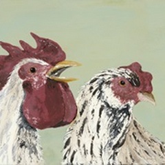 Four Roosters White Chickens
