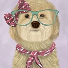 Cockerpoo, Blonde, with Glasses and Scarf