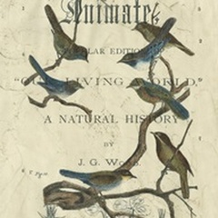 Vintage Ornithology II