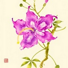 Hibiscus Flower I