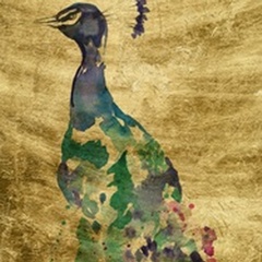 Gilded Peacock Splash II