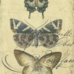 Butterfly Ephemera IV