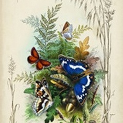 Victorian Butterfly Garden III