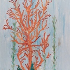 Painterly Coral II