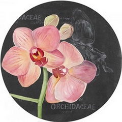Chalkboard Flower Study Collection C