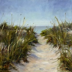 Seagrass and Sand
