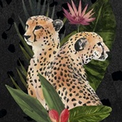 Cheetah Bouquet Collection B