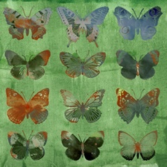 Butterflies on Green