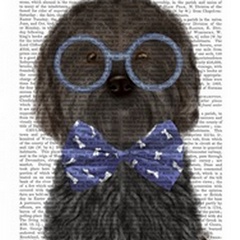 Cockerpoo, Black, with Glasses and Bow Tie