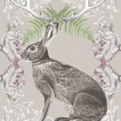 Hare & Antlers Collection B