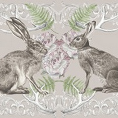 Hare & Antlers Collection A