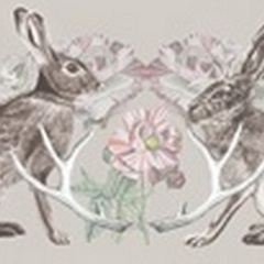 Hare & Antlers Collection D