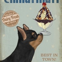 Chihuahua, Black and Ginger, Ice Cream