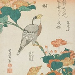 Katsushika Hokusai Flowers & Bird II