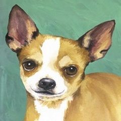 Dog Portrait-Chihuahua