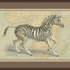 Zebra with Border II