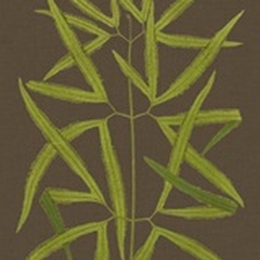 Ferns on Linen I
