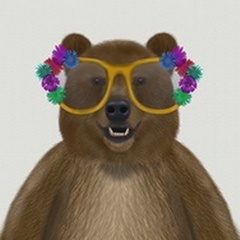 Bear and Flower Glasses