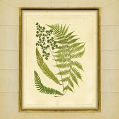 Fern with Crackle Mat II