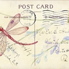 Postcard Dragonfly IV