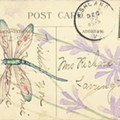 Postcard Dragonfly III
