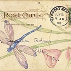 Postcard Dragonfly II