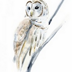 Arctic Owl I