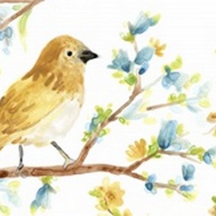 Springtime Songbirds Collection A