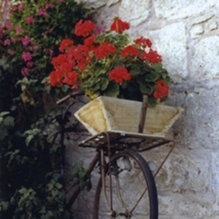 Flower Box Bike