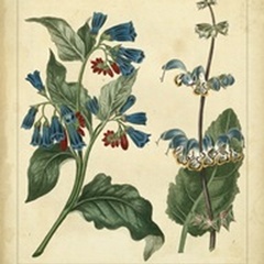 Garden Flora V