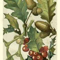 Fruits and Foliage II