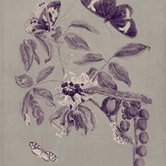 Nature Study in Plum and Taupe II