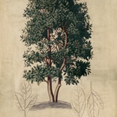 Embellished Laurel Tree