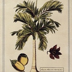 Crackled Paradise Palm I