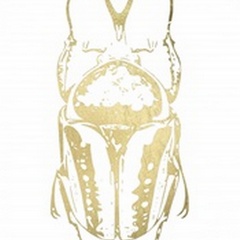 Gold Foil Beetle IV
