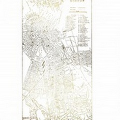 Gold Foil City Map Boston