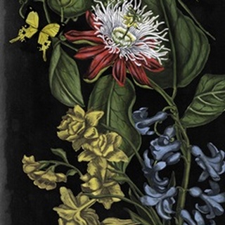 Dark Floral III