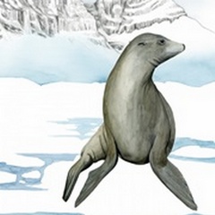 Arctic Animal IV