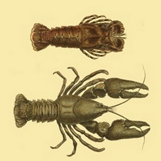 Antique Lobster III