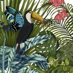 Toucan in Tropical Forest