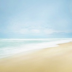 Beachscape Photo IV