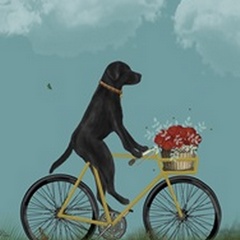 Black Labrador on Bicycle - Sky