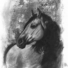 Charcoal Equestrian Portrait IV