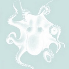 White Octopus on Seafoam d