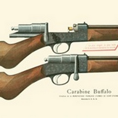 Antique Pistol I