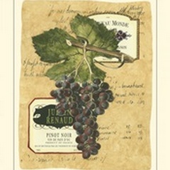 Small Red Grapes I