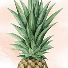 Pineapple on Coral I