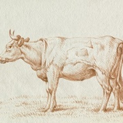 Sepia Grazing Cow sketch II
