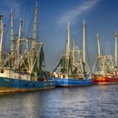 Shrimp Boats III